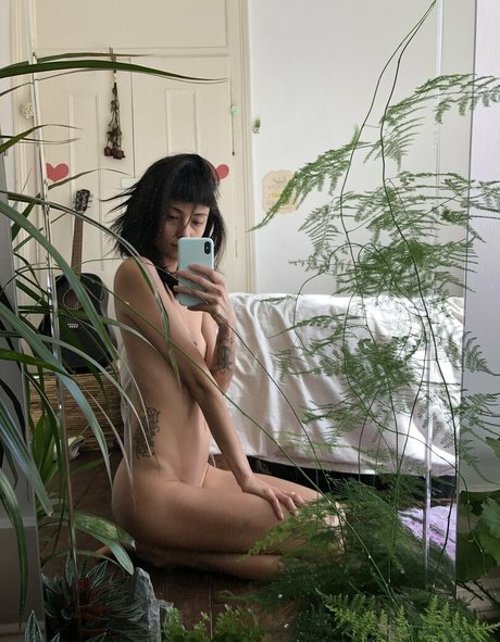 Charry Jin
