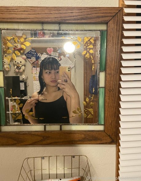 Nacktes geleaktes OnlyFans-Foto von Sunisabby