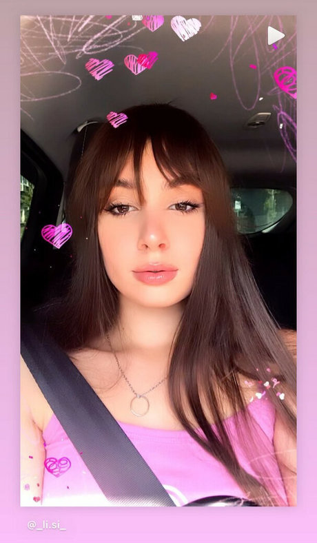 Lisi Flex