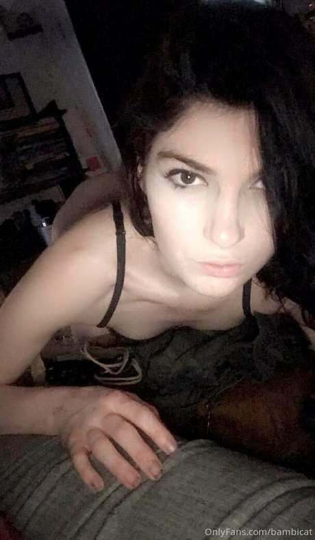 Bambicat