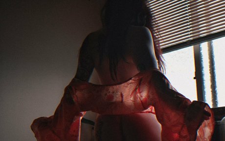 Salemmoonfree