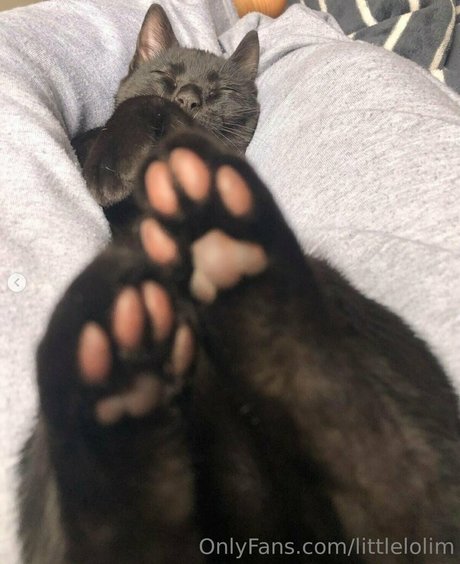 Nacktes geleaktes OnlyFans-Foto von Littlelolim