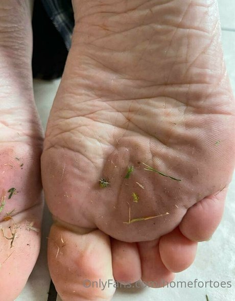 Homefortoes