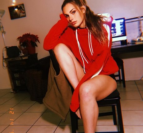 Stepsistaa