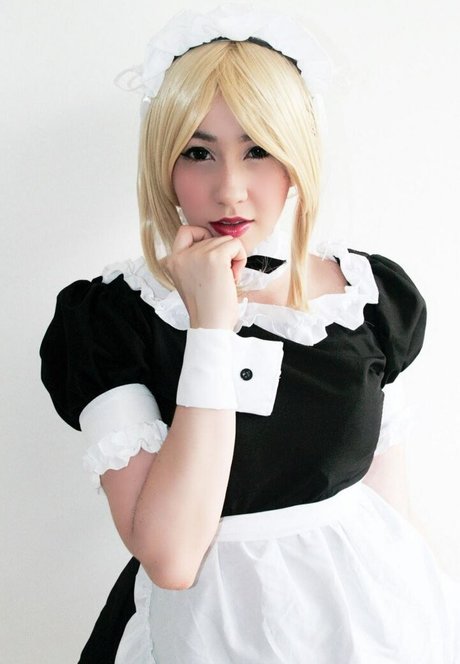 Hakicosmodel