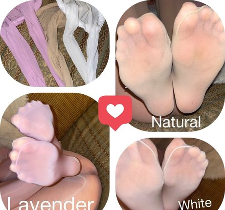 Nylonskitten
