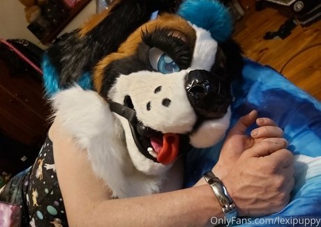 Lexipuppy