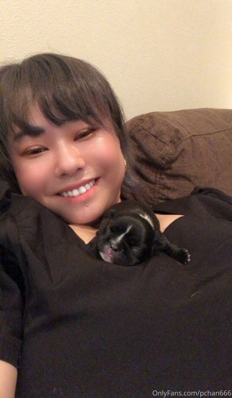 Pchan 666