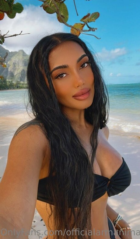Officialarmanimarie