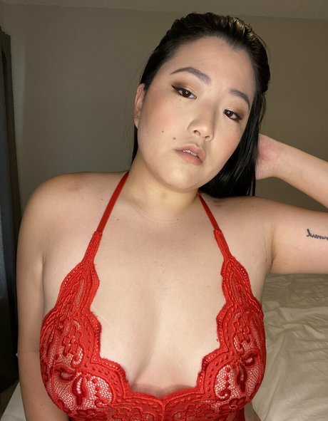 Stellafox