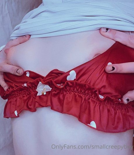 Nacktes geleaktes OnlyFans-Foto von Smallcreepyboy