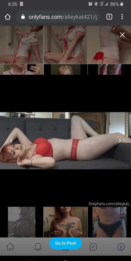 Alleykat421