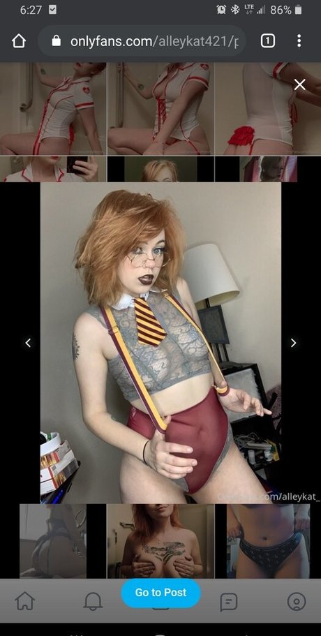 Alleykat421