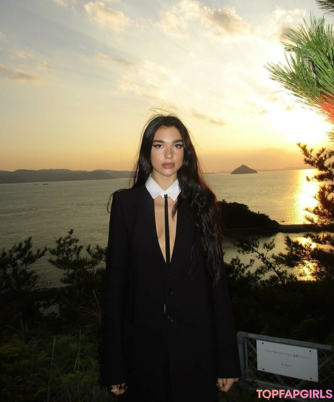 Nacktes geleaktes OnlyFans-Foto von Dua Lipa #1450