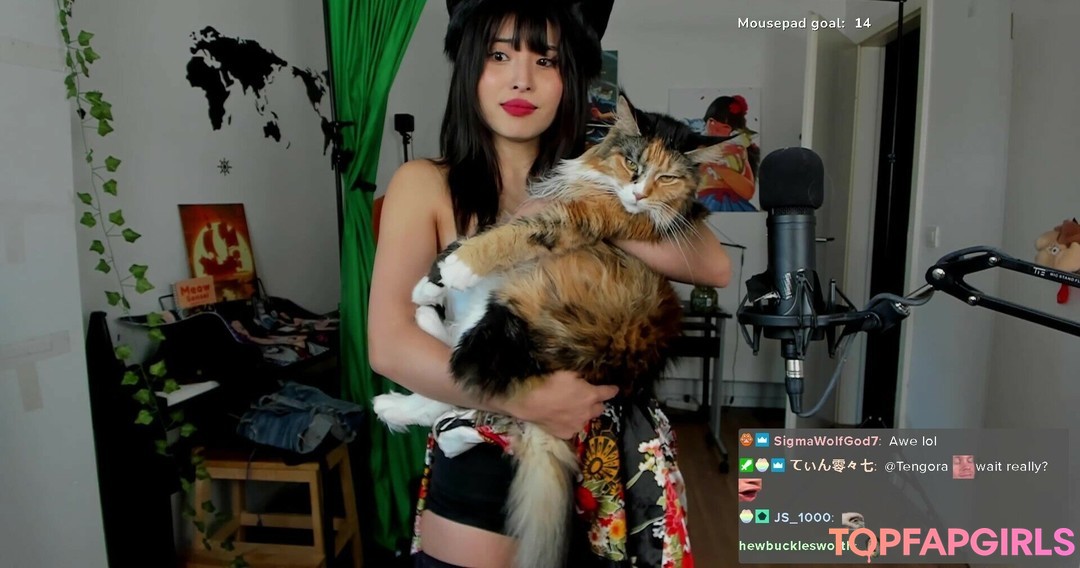Nacktes geleaktes OnlyFans-Foto von Meowko #1538
