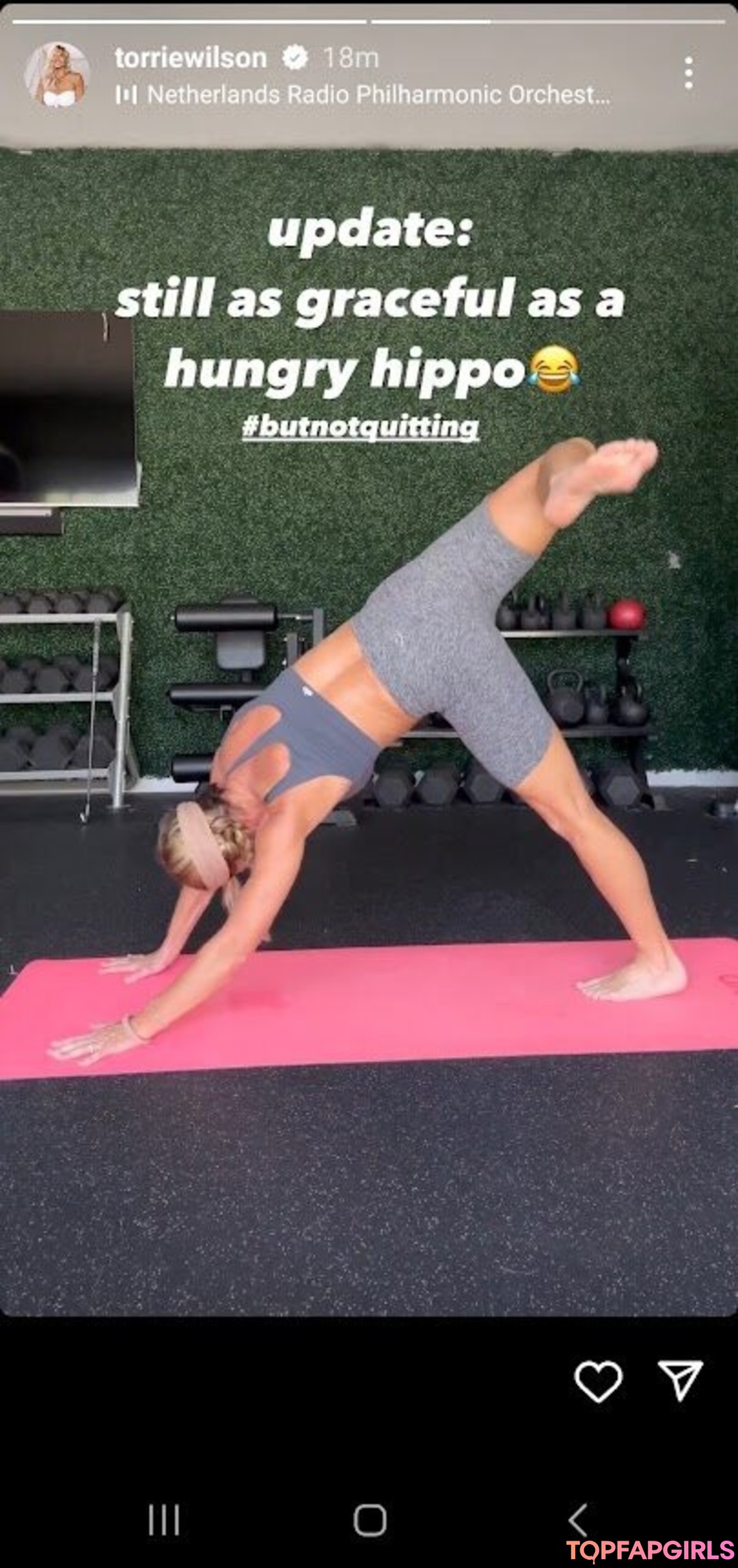 Nacktes geleaktes OnlyFans-Foto von Torrie Wilson #1826