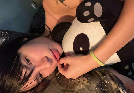 Stacykimmo
