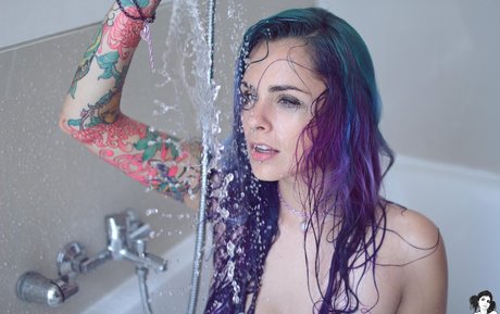 Paloma