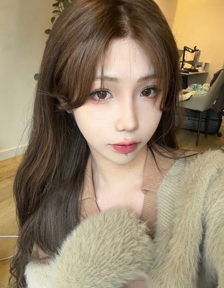 Shiliuyelei
