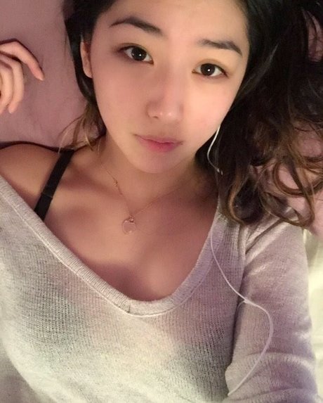 Xchocobars