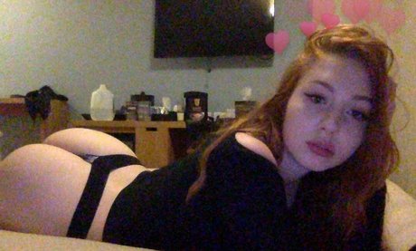 Ariettaadamsxxx