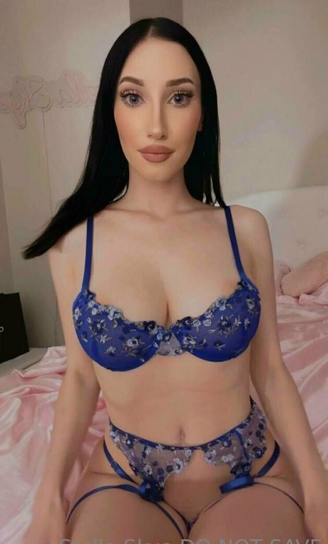 Vipstellaskye