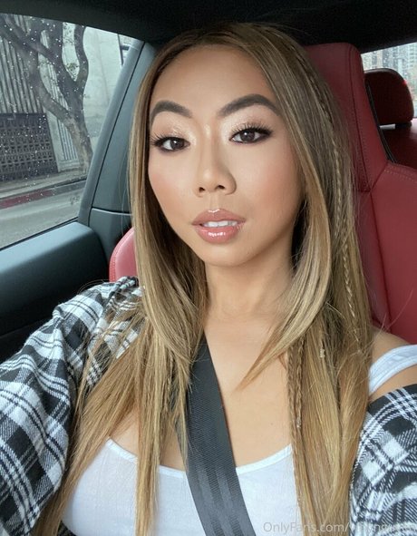Vmynguyen