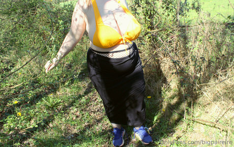 Bigpaireire