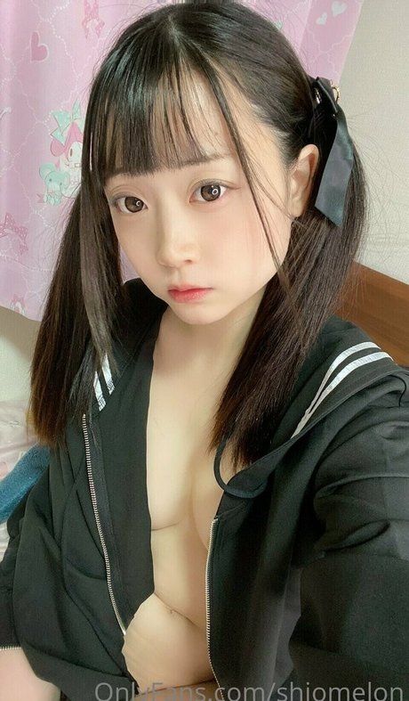 Shiomelon
