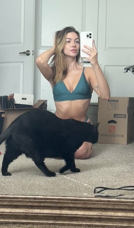 Novaleesi
