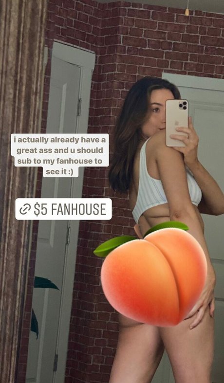 Novaleesi