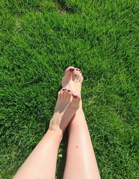 Cavalierifeetfree