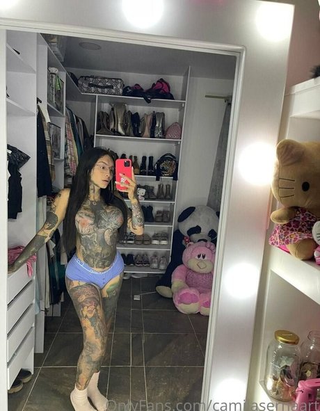Camilasernaart