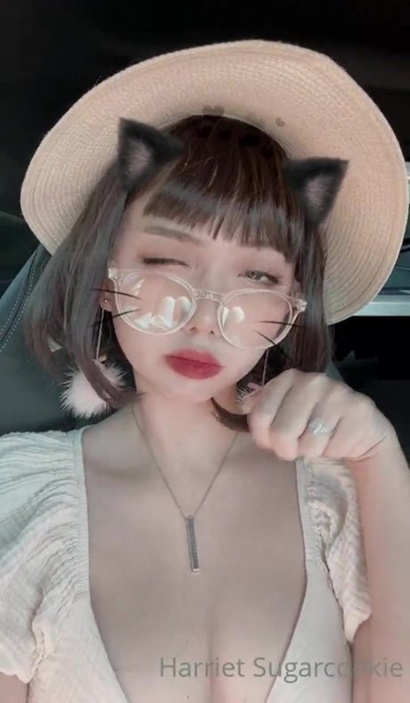 Harrietsugarcookie