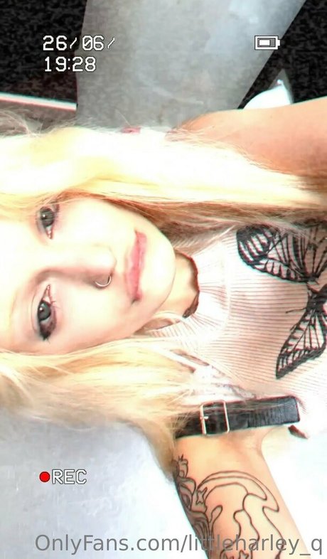 Littleharley_q