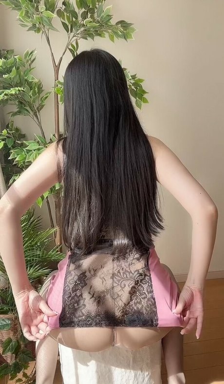 Ayachamo 1028