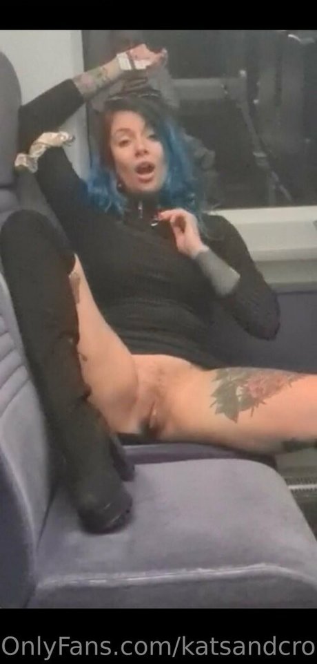 Katsandcrows