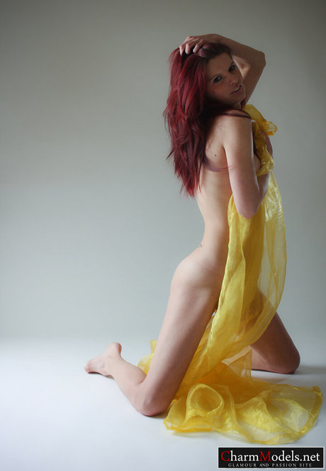 Charmmodels
