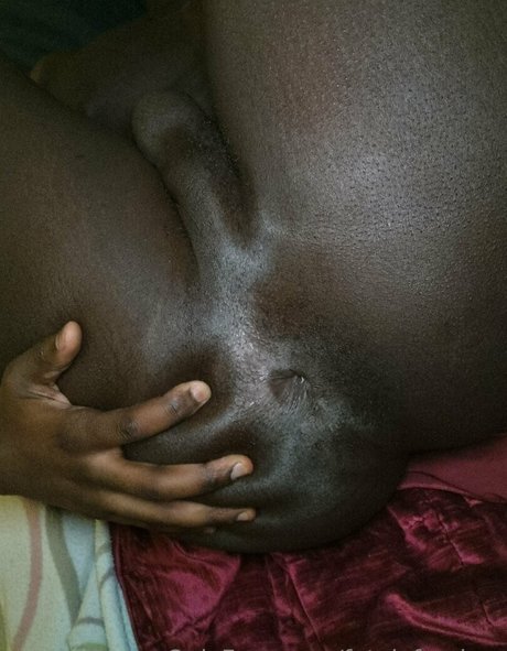Fatalefemboy
