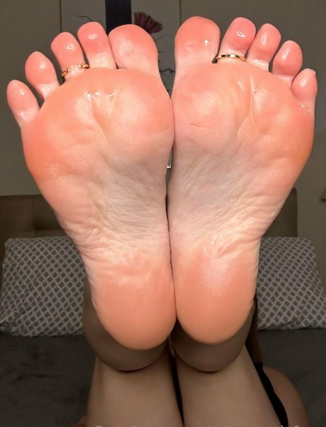 Missalexisfree