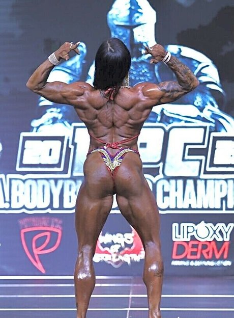 Breephysiqueifbbpro