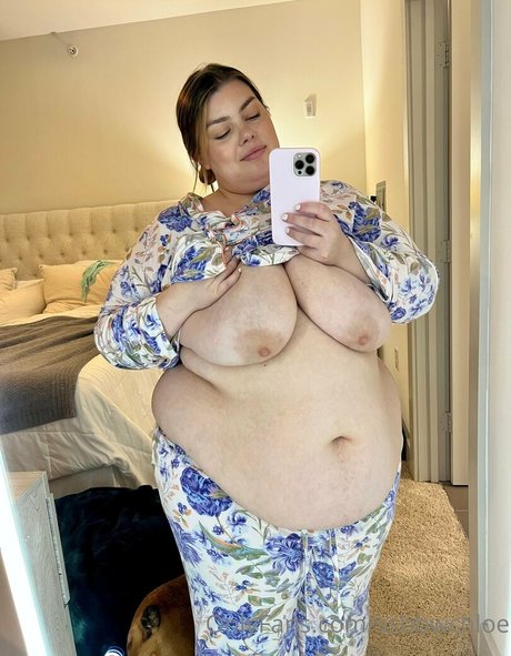 Nacktes geleaktes OnlyFans-Foto von Ssbbwchloe