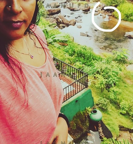 Jaanuaunty