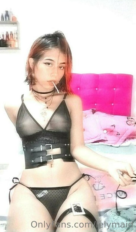 Lelymaid