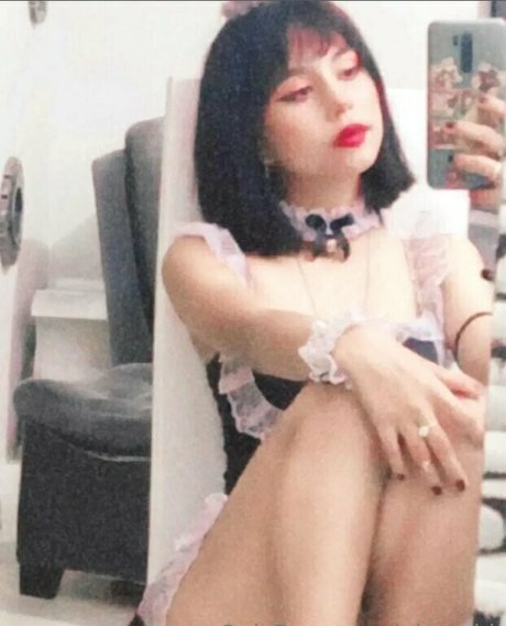 Lelymaid