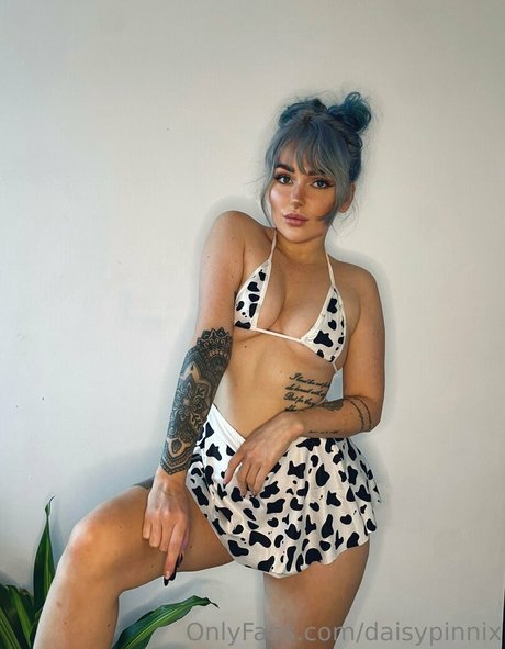 Daisypinnix
