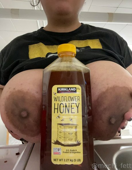 Mochifett