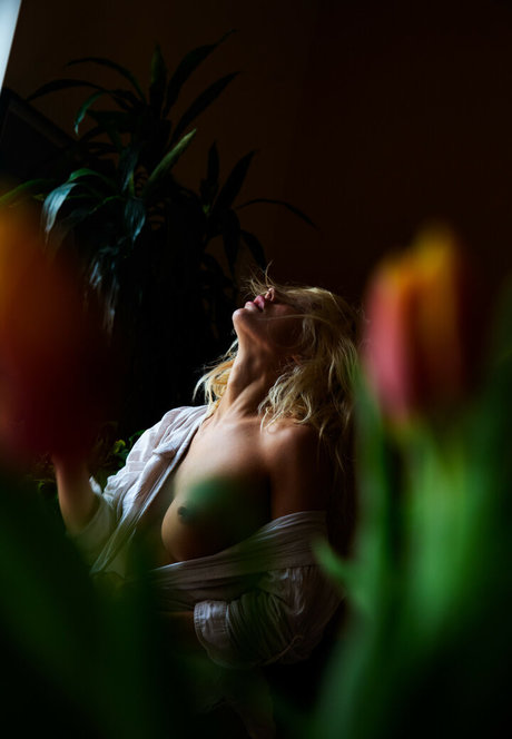 Ivy Wolfe