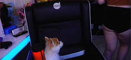 Haru Jiggly
