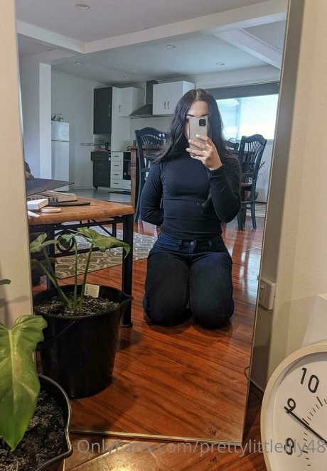 Prettylittlelily48